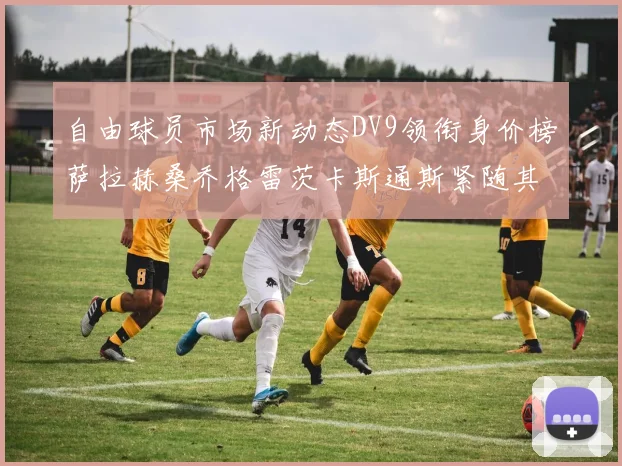 自由球员市场新动态DV9领衔身价榜萨拉赫桑乔格雷茨卡斯通斯紧随其后