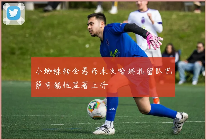 小蜘蛛转会悬而未决哈姆扎留队巴萨可能性显著上升